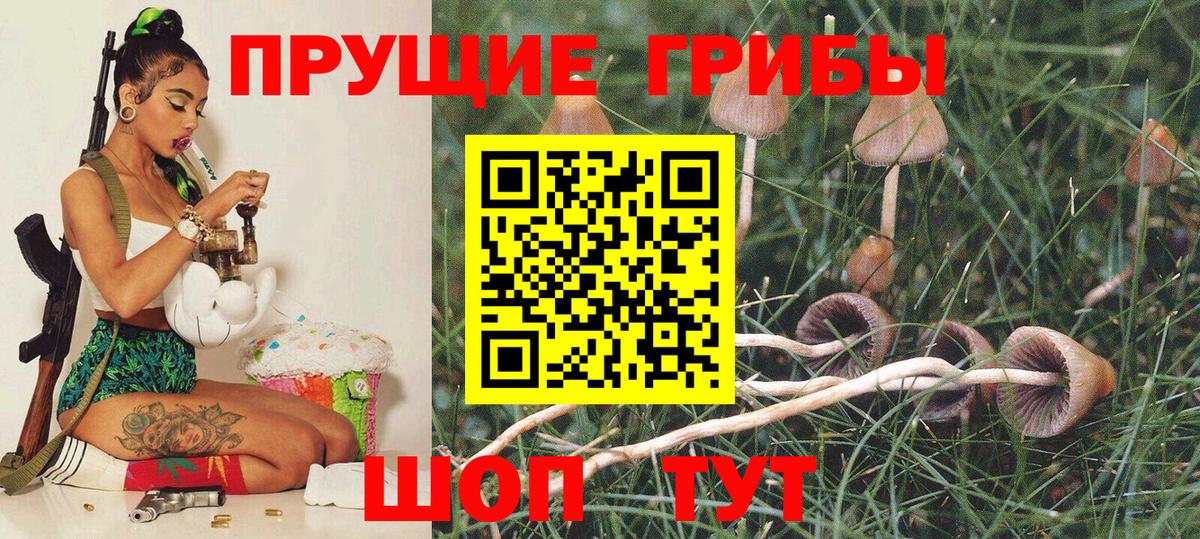 Галлюциногенные грибы мухоморы Горно-Алтайск